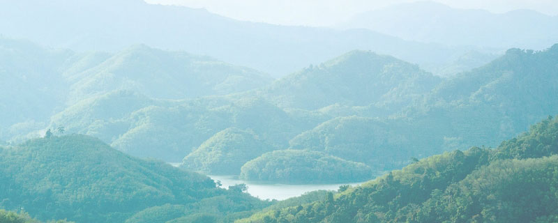 ESG Performance Data